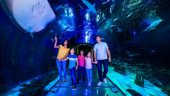 Sealife is better than sea world for animals