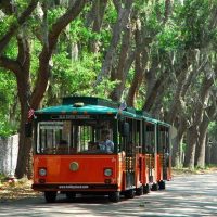 Bus & Minivan Tours