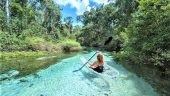 Kayak tour