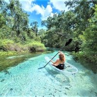 Boat Tours