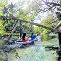 Cruises, Sailing & Water Tours