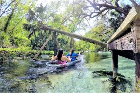 2-Hour Glass Bottom Guided Kayak Eco Tour in Rock Springs (Small-Group)