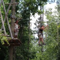 Obstacle Courses