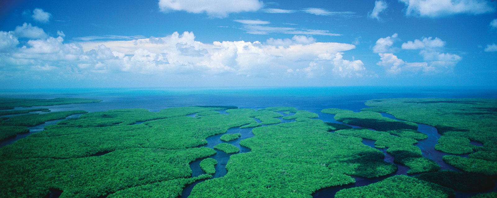 Top Picks for an Orlando Everglades Airboat Adventure (Updated August 2026)