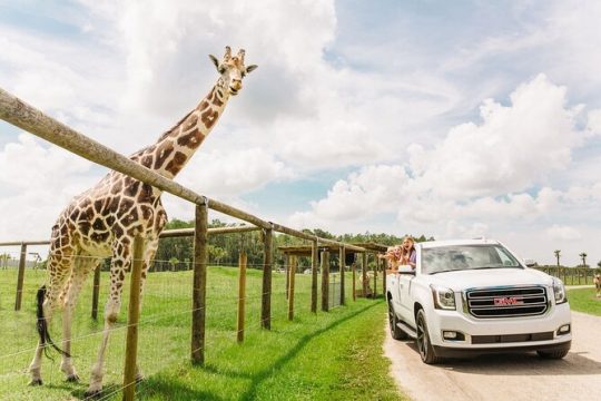 Wild Florida Drive-Thru Safari and Gator Park Admission