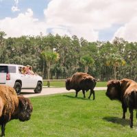 Sightseeing Tickets & Passes