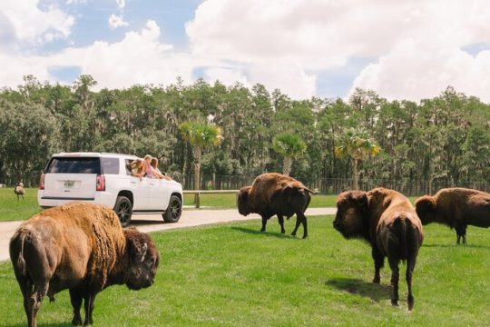 Labor Day in Orlando