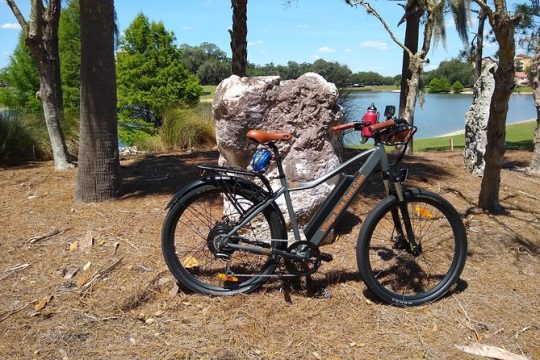 Electric Bike Rentals in The Villages Florida with Delivery