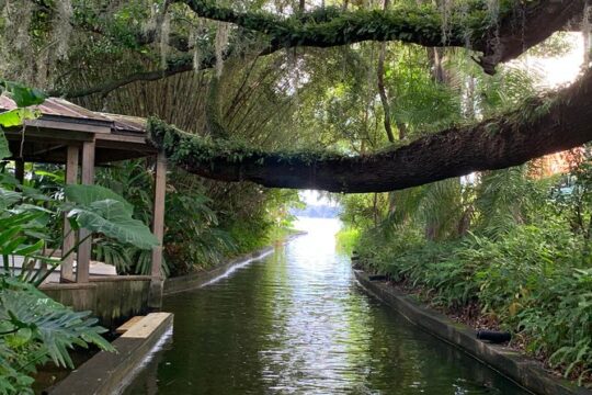 Peacocks, Presidents and Puzzles - The Winter Park Walking Tour + Boat