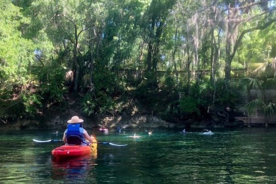 Wekiva River Guided Kayak Tour