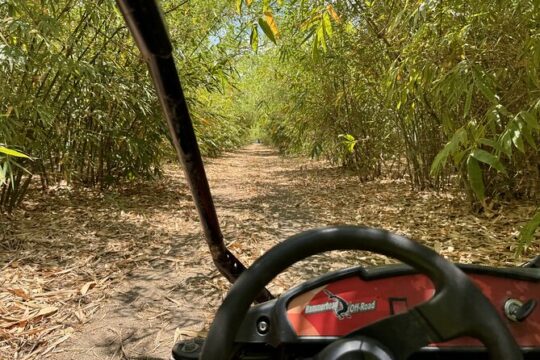 Houston Dune Buggy Adventure