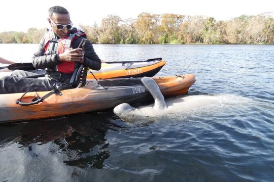 Manatee Discovery Kayak Tour for Small Groups near Orlando