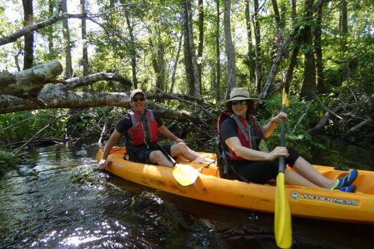 Small Group Blackwater Creek Scenic River Kayak Tour With Lunch