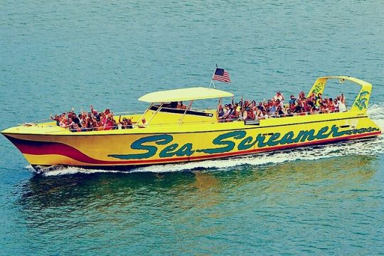 Clearwater Beach Day Tour and Dolphin Watch Boat from Orlando