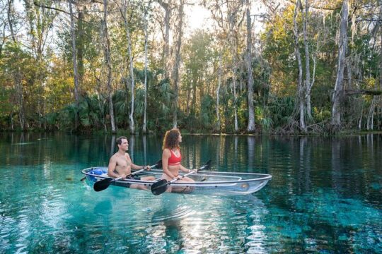 2-Hour Clear Kayak Tour in Silver Springs (Small-Groups)