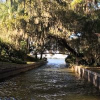Holiday & Seasonal Tours