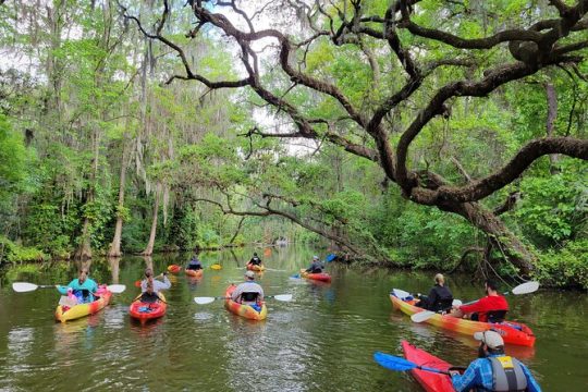 Central Florida kayak and paddle board rentals on the Dora Canal