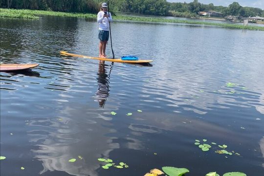 Orlando Manatee and Olde Florida History Adventure Tour