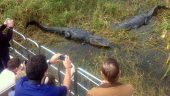 Fun filled nature adventure