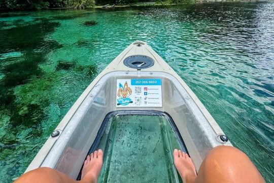 Glass Bottom Kayak Guided Tour in Silver springs