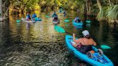 Kayaking Adventures 