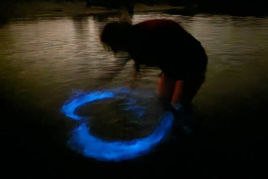 Orlando Bioluminescence Kayak and Swim Adventure