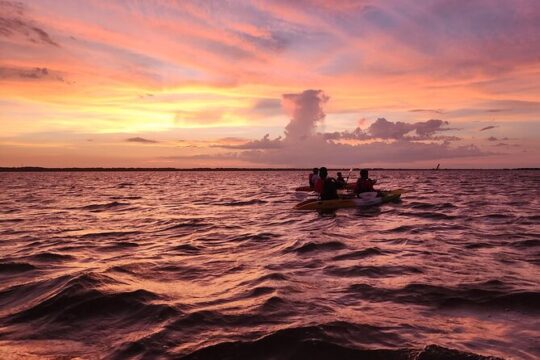 Orlando Bioluminescence Kayak and Swim Adventure