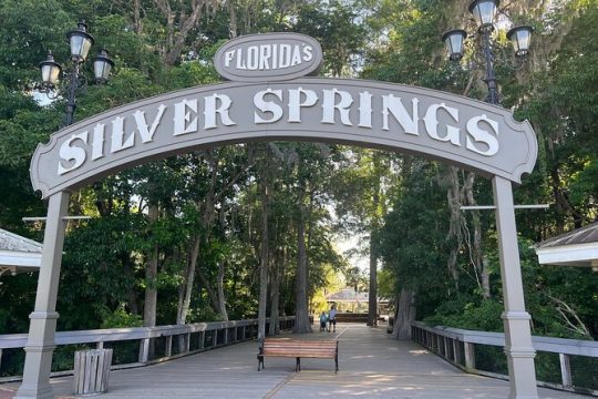 Silver Springs+Glass-bottom Boat 1-Day Tour from Orlando