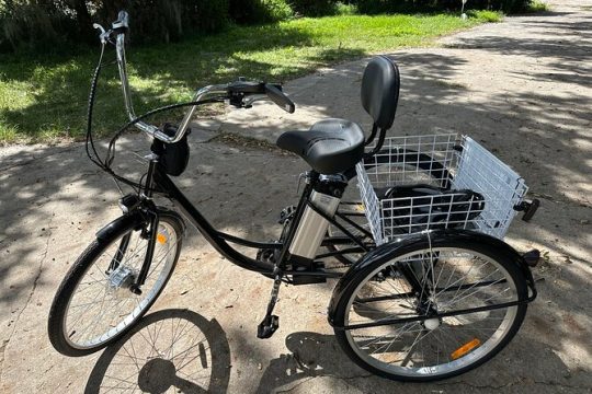 Cruise Down the Kissimmee Lakefront on an Electrified Adult Trike