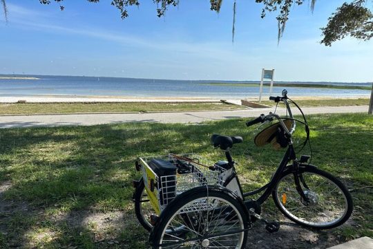 Self-Guided Kissimmee Lakefront Tour on Electrified Adult Trike