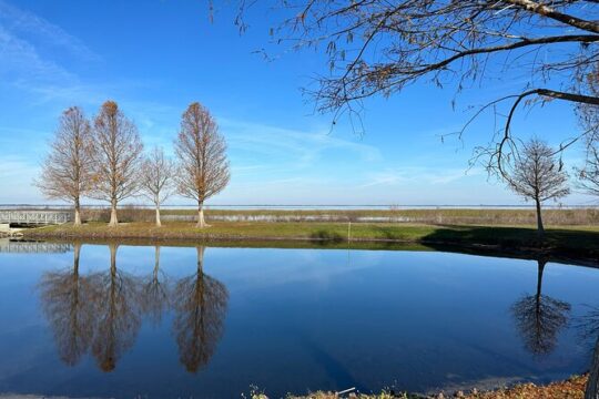 Self-Guided Kissimmee Lakefront Tour on Electrified Adult Trike