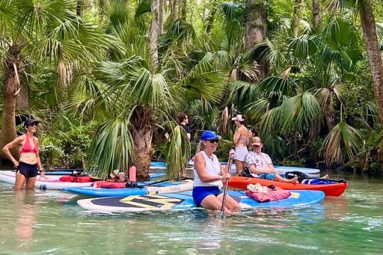 Explore Emerald Cut: Orlando's Most Epic Paddleboard Adventure!