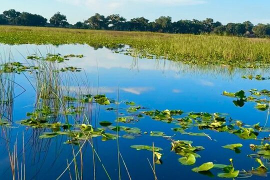 Florida’s 30-Minute Airboat Ride