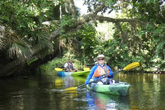 Small Group Scenic Wekiva River Kayak Tour near Orlando