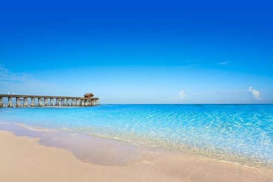 Private Transfer in SUV Orlando to Port Canaveral