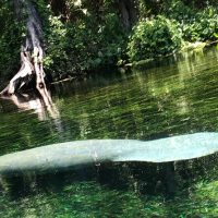 Water Sports