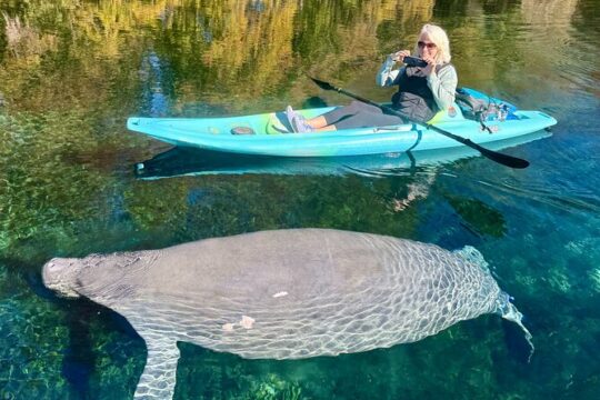 Silver Springs Real Florida Wildlife Experience