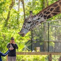 Zoo Tickets & Passes