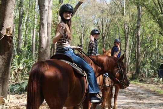 1 Hour Guided Horseback Trail Ride Rock Springs Run State Reserve