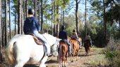 Horse back ride