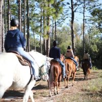 Horseback Riding
