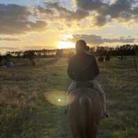 Holiday & Seasonal Tours