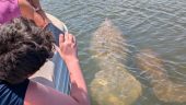 Great tour