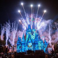 Disney® Parks