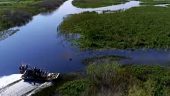 2 hours Airboat Tour