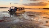 Eco Tour of Lake Toho